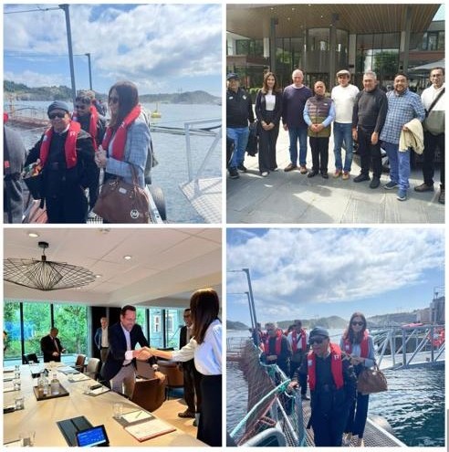Eurofresh with Glastad Group
